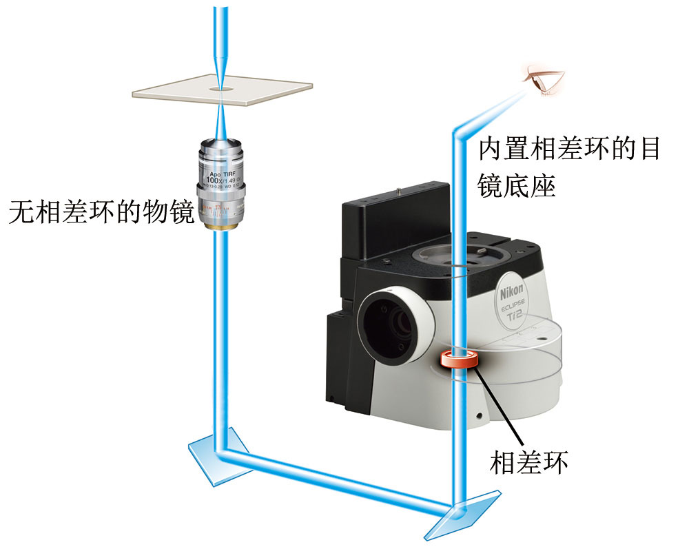 ECLIPSE Ti2尼康倒置生物(wù)顯微鏡-上海思長(cháng)約光(guāng)學經銷