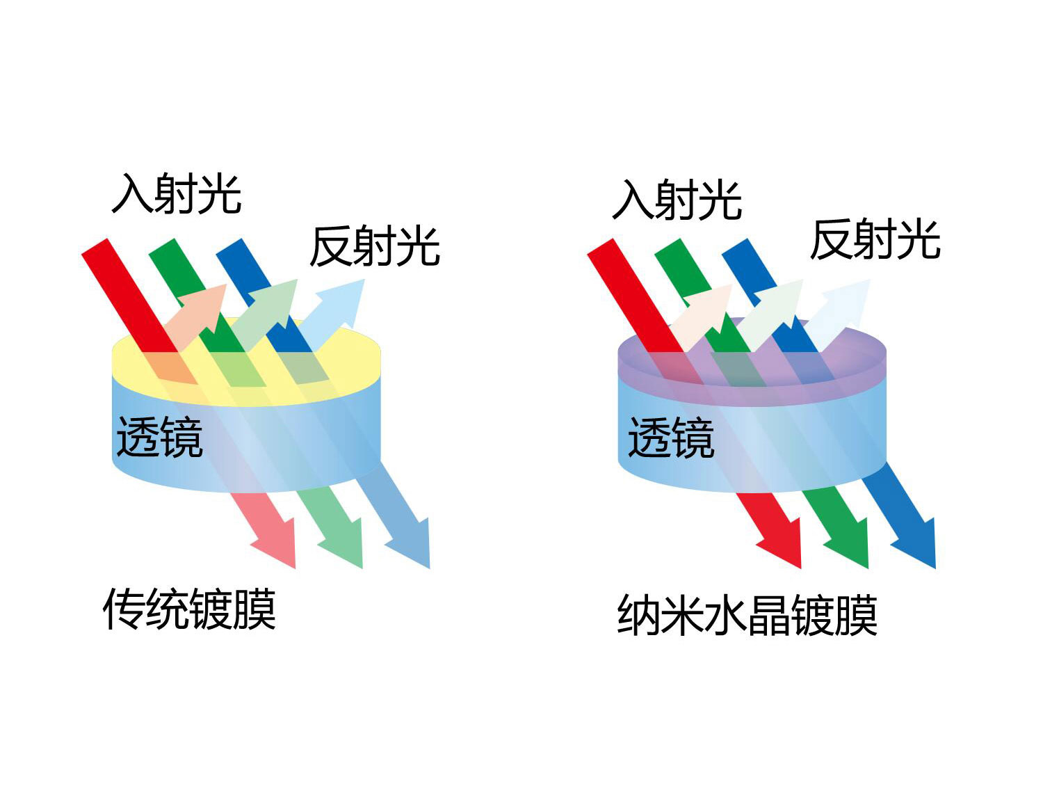 ECLIPSE Ti2尼康倒置生物(wù)顯微鏡-上海思長(cháng)約光(guāng)學經銷