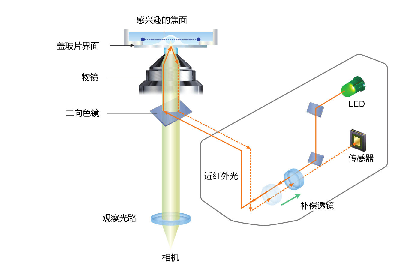 ECLIPSE Ti2尼康倒置生物(wù)顯微鏡-上海思長(cháng)約光(guāng)學經銷