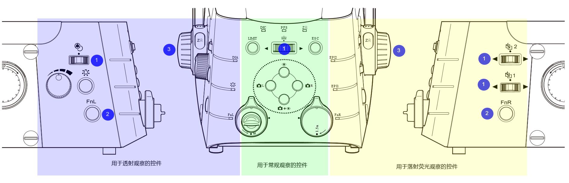 ECLIPSE Ti2尼康倒置生物(wù)顯微鏡-上海思長(cháng)約光(guāng)學經銷