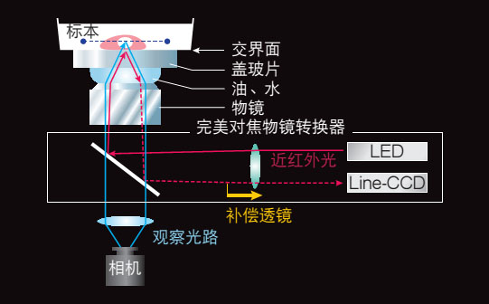 Ti-S-Ti-E,Ti-U尼康三目倒置生物(wù)顯微鏡-上海思長(cháng)約光(guāng)學經銷