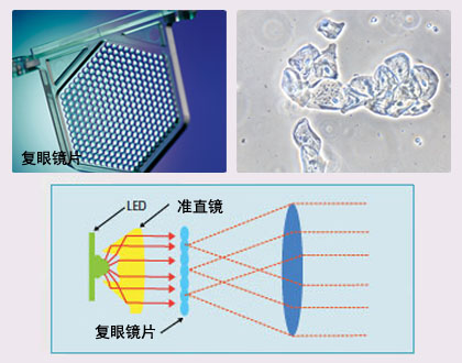 TS100-TS100-F尼康倒置顯微鏡-上海思長(cháng)約光(guāng)學經銷