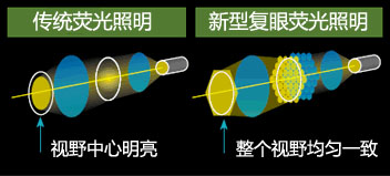 SMZ18明(míng)亮與高(gāo)對(duì)比度的(de)熒光(guāng)圖像