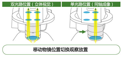 SMZ18高(gāo)超數碼成像